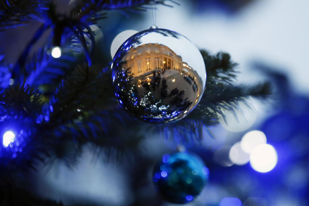 Neočekivano iznenađenje ispod Božićnog drveta: Između poklona se sakrila SMRTONOSNA ŽIVOTINJA!