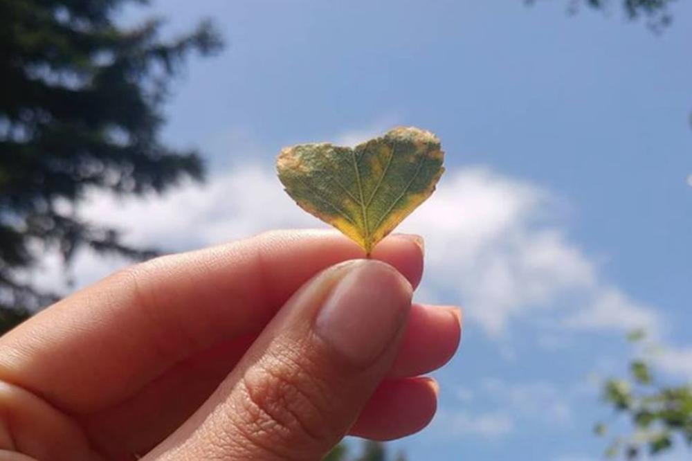 LEKCIJU ŽIVOTA DUGUJEM SVOM NAJVEĆEM GUBITKU: Danas pročitajte ovo i cenićete sve što imate!