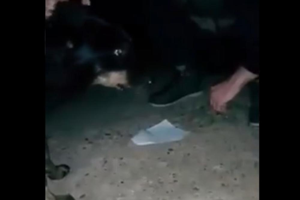 JELENA JE 5 GODINA BRINULA O PSU KOG JE SEKTA ZVERSKI ZAKLALA: Bio je dobrica, zato su njega odabrali!