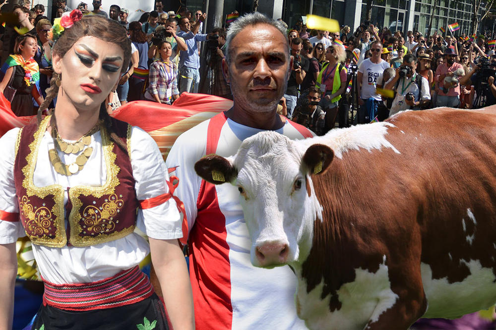 ROMIMA, TRANDŽAMA I GEJEVIMA SRBI POSEBNO ŽELE DA CRKNE KRAVA! Kako smo se borili protiv diskriminacije