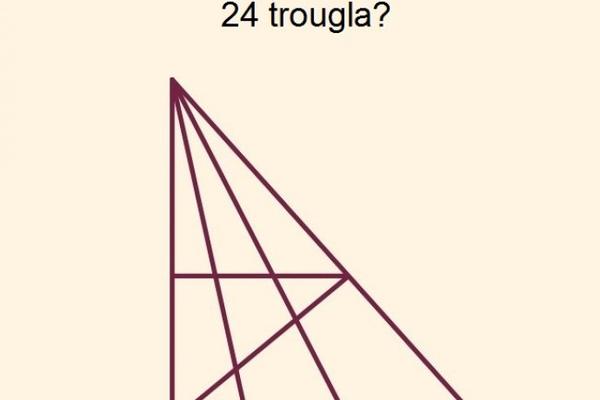 SAMO ZA NAJBISTRIJE: Ovu mozgalicu mogu da reše samo oni s visokim koeficijentom inteligencije