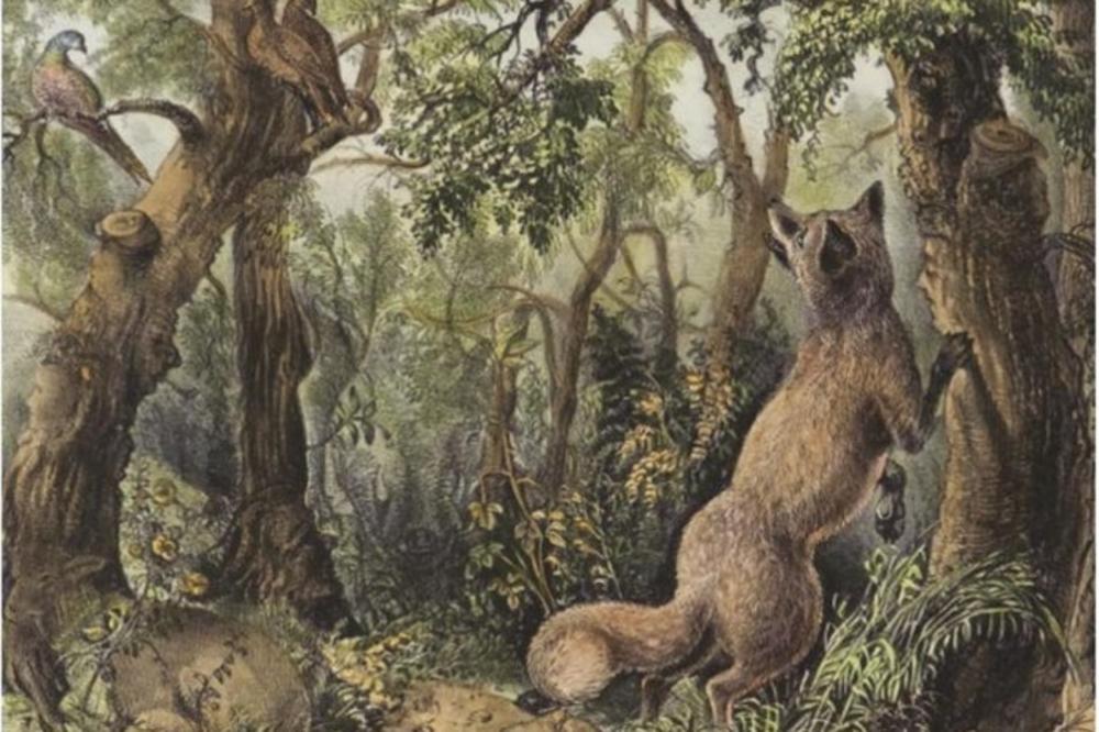 KOLIKO ŽIVOTINJA, A KOLIKO LICA VIDITE NA OVOJ SLICI? Ovo može da reši samo 2 odsto ljudi na planeti