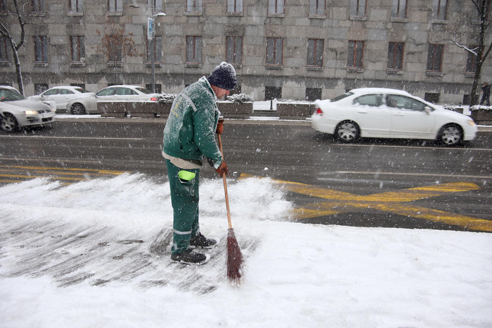 Radnik JKP 'Zelenilo' na zadatku  