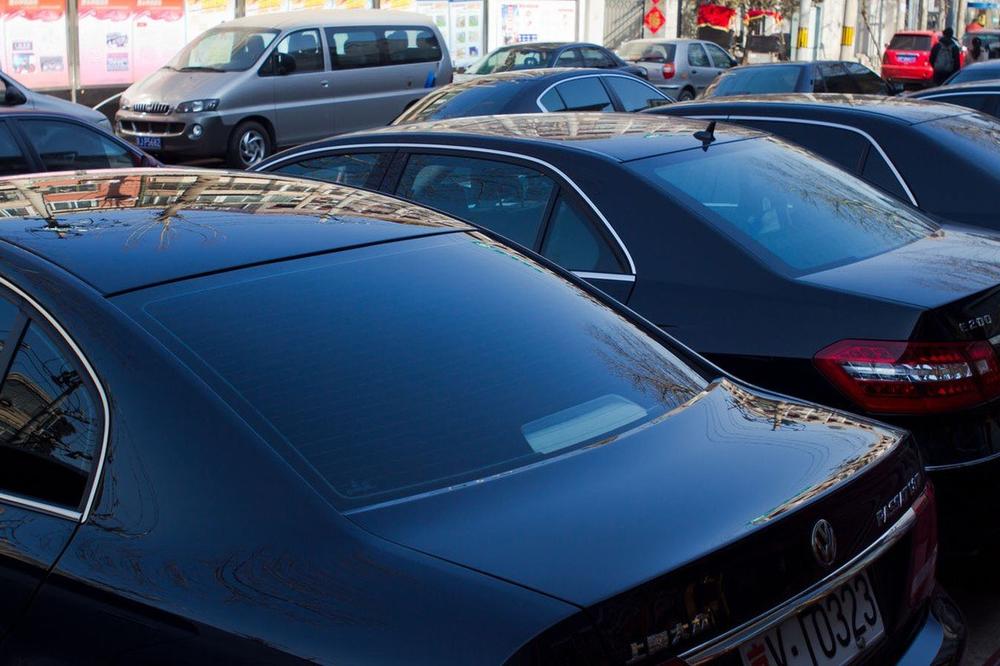 NEMCI SU IH ZABRANILI, A MI IH JEDVA ČEKAMO: SPISAK ZVERI koje bi uskoro mogle da JURE našim DRUMOVIMA (FOTO)