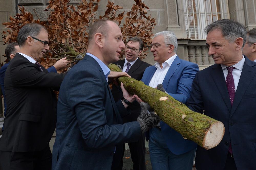 VUČIĆ UNEO BADNJAK U PREDSEDNIŠTVO! Pomagali mu Dodik, Pupovac, Mandić... (FOTO)