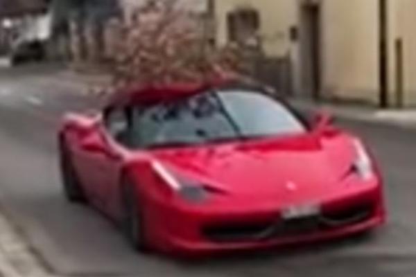 SRBI U ŠVAJCARSKOJ ZNAJU ZA ŠTA ŽIVE: Po BADNJAK idu CRVENIM FERARIJEM, a način je POSEBNA PRIČA! (VIDEO)