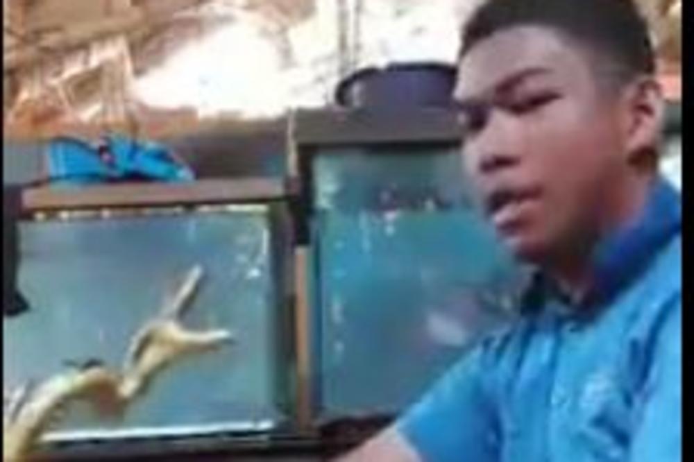 DUVAO JE ZMIJI U FACU: Sada će do kraja života žaliti što je to radio! (VIDEO)