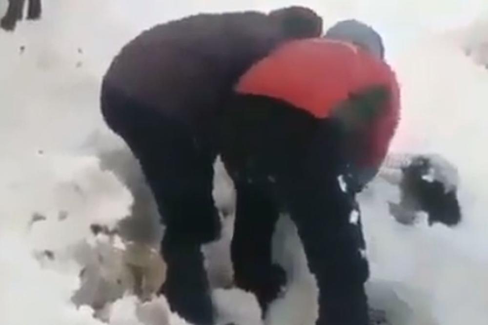 UZBUNA! OVCE SU U SNEGU! Neviđena akcija ČOBANA IZ BOSNE zapalila je INTERNET (VIDEO)