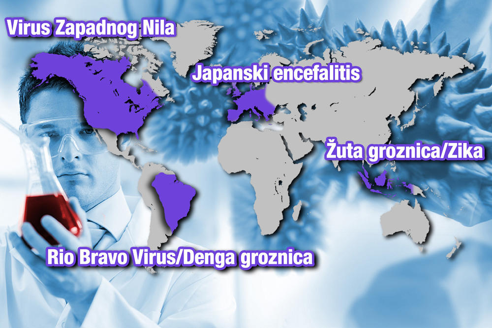 I SRBIJA NA MAPI UŽASA: Naučnici utvrdili koji SMRTONOSNI VIRUSI prete svakom delu sveta!