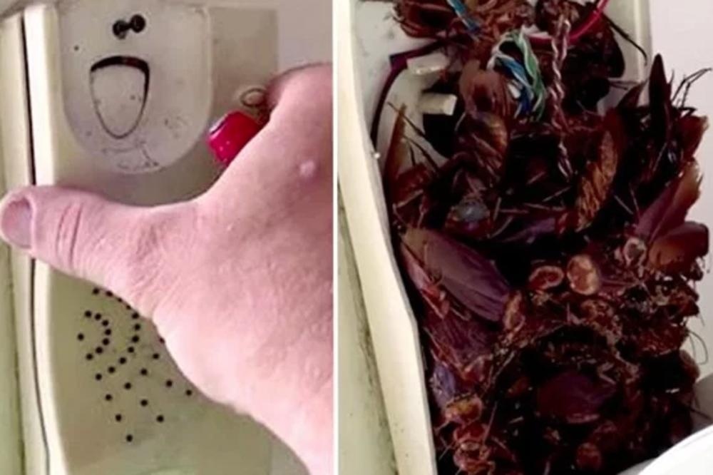 OTVORIO JE INTERFON I OSTAO BEZ REČI: Video je prizor od kojeg ćete i vi imati NOĆNE MORE! (VIDEO)