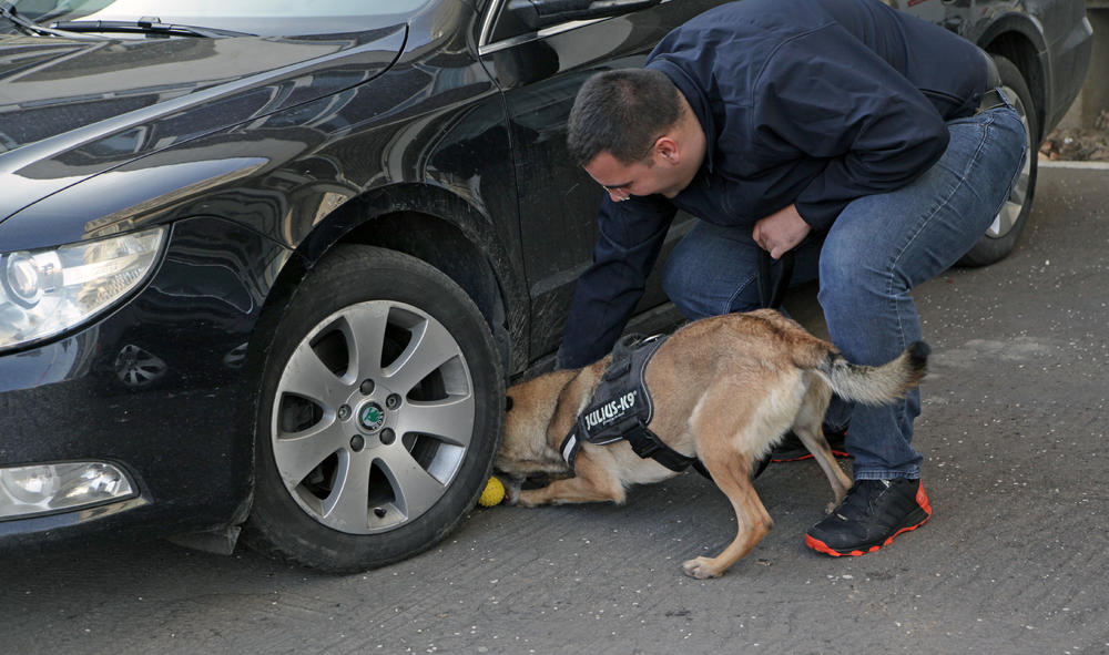 Vodič Dejan sa psom Herom izvodi 'akciju'    