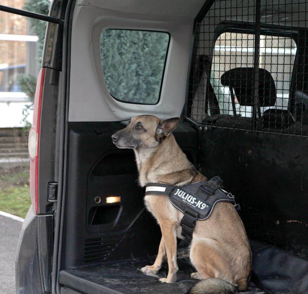 Hera čeka znak za pokret!  