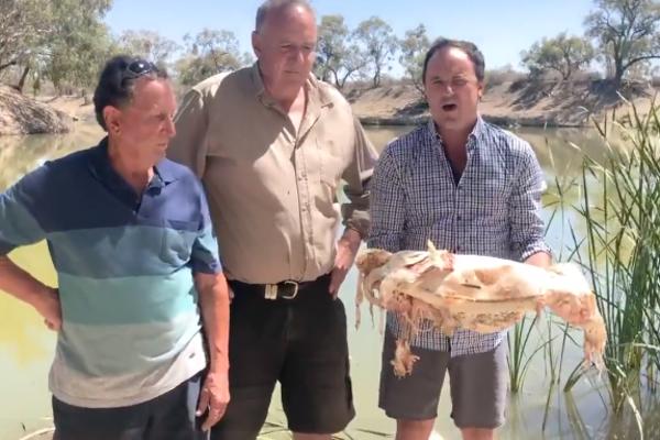 MINISTAR DRŽAO MRTVU RIBU U RUKAMA, PA POČEO DA POVRAĆA: Snimali ga sve vreme, ali nije mogao da izdrži! (VIDEO)