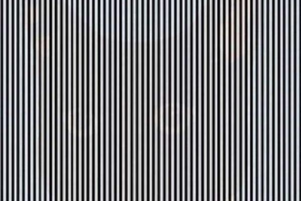 NEVEROVATNA OPTIČKA ILUZIJA: Ako zatresete glavu, u prugama će pojaviti nešto neočekivano!