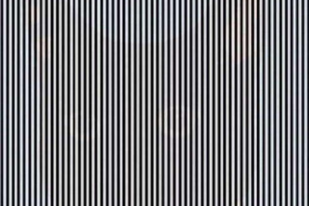 NEVEROVATNA OPTIČKA ILUZIJA: Ako zatresete glavu, u prugama će pojaviti nešto neočekivano!