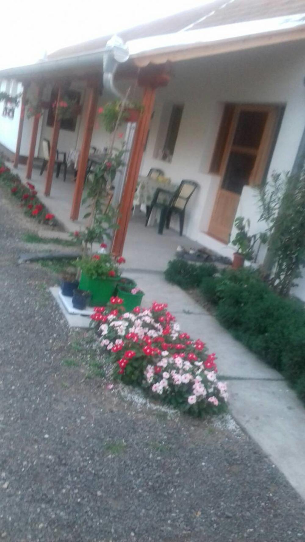 Nadina oaza mira koju deli sa korisnicima  