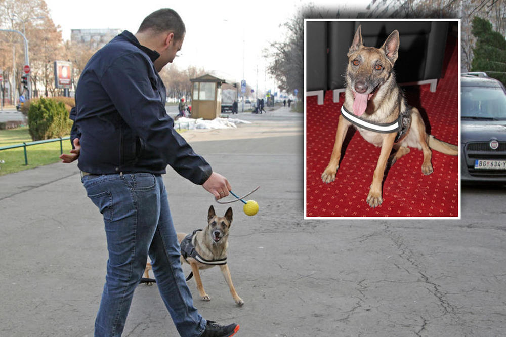 AKO HERA NANJUŠI DUVAN, KRIJUMČARI ODMAH PADAJU: Ona radi u UPRAVI CARINE, a Rade Knežević nam predstavio CEO TIM