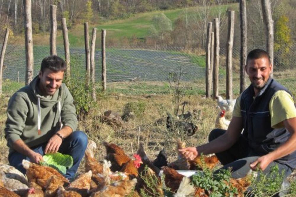 DVA PREZGODNA SRBINA ZAMENILI SU ASFALT TRAKTOROM I ZARADILI BRDO PARA: Ovo je njihova neverovatna priča (FOTO)