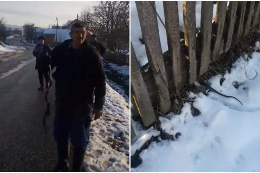 CEO INTERNET BRUJI O ZMIJI KOJA GMIŽE PO LEDU: Meštani kažu da je u pitanju PREDSKAZANJE! SPREMA NAM SE CRNO