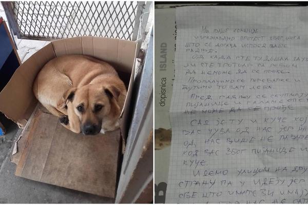 OVOG PSA ĆE DA POJEDE MRAK: Žena iz KIOSKA trpi TORTURU jer hrani napuštenog PSA! UDOMIMO OVO DIVNO STVORENJE