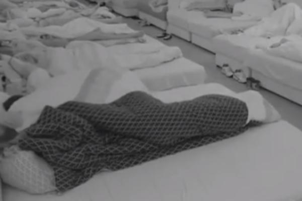 SVE JE PRŠTALO OD LJUBAVI I STRASTI ISPOD POKRIVAČA: Miljana i Zola zatresli KREVET pred ukućanima i kamerama!