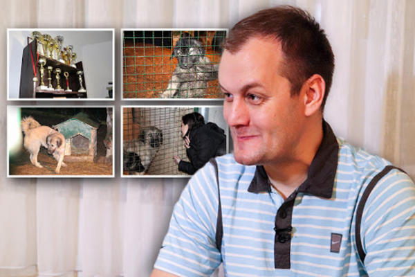 PAŠI JE VUČIĆ DAO IME, VUČE GENE SA KOSOVA, A DEDA MU JE ŠAMPION: Upoznali smo porodicu Putinovog ljubimca (VIDEO)