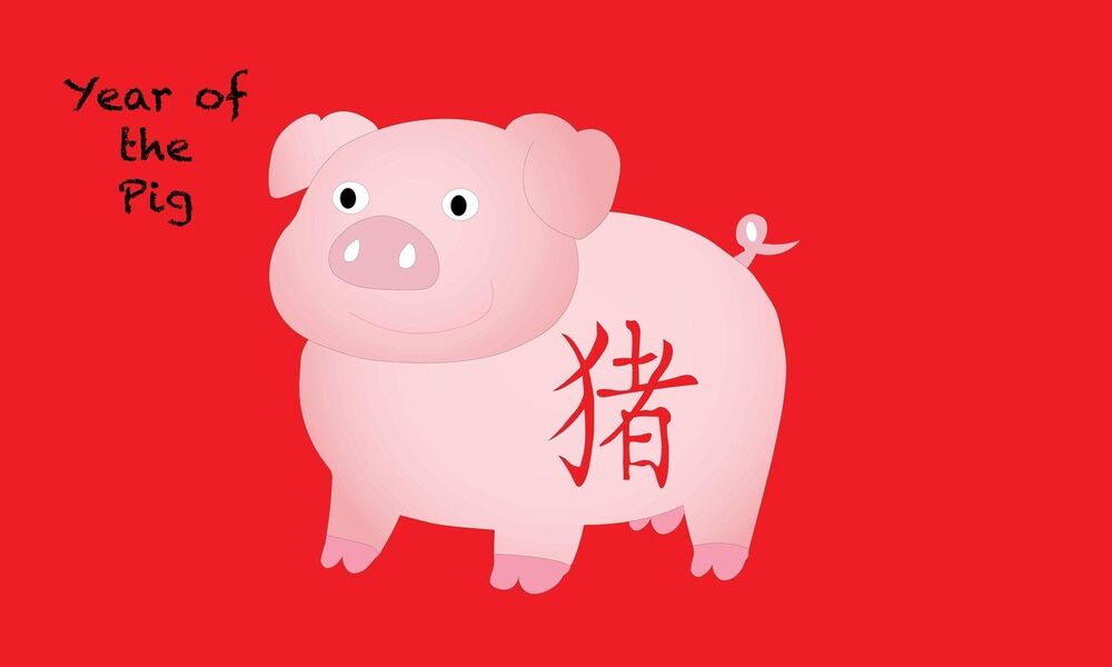 Kineski horoskop, Godina svinje