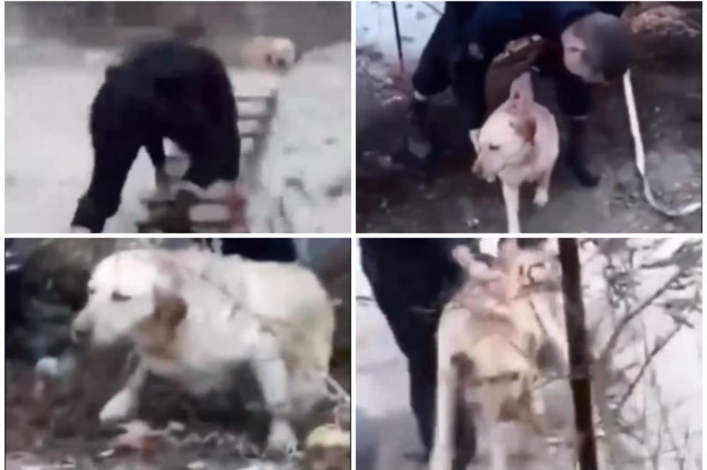 O HRABROM POLICAJCU IZ ZEMUNA PRIČA CELA SRBIJA! Ovo je DRAMATIČNA akcija u kojoj je spasio kucu iz LEDENE VODE