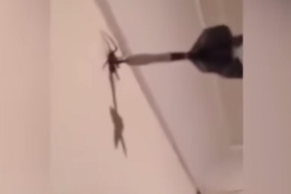 NANIŠANIO JE I UBIO PAUKA STRELICOM ZA PIKADO: Muškarac zbog svog postupka izazvao OSUDU javnosti! (VIDEO)