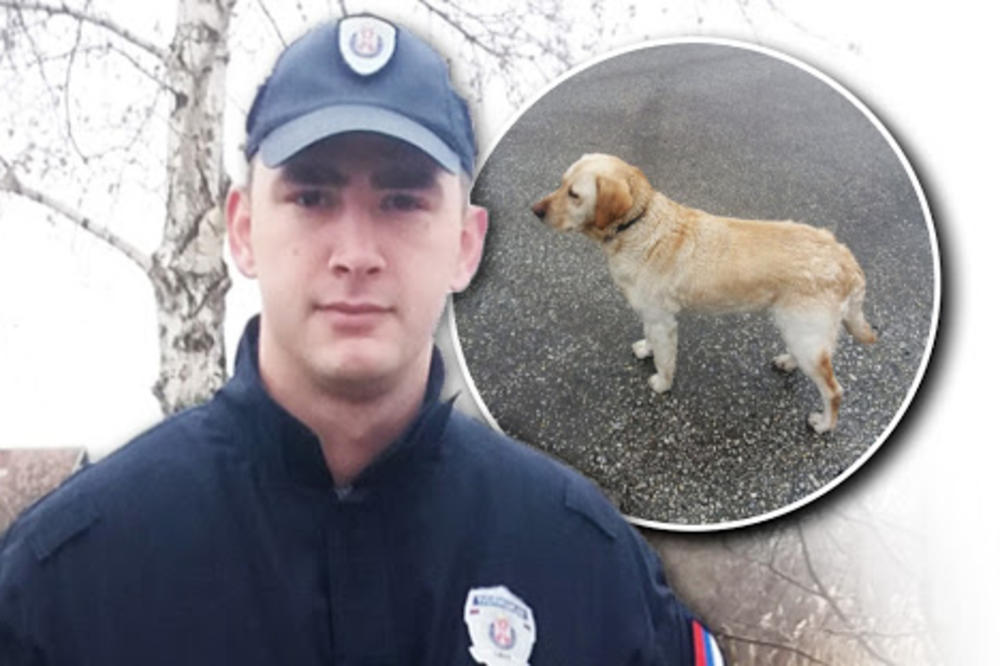 POLICAJAC MLADEN JE HEROJ, IZ LEDENE REKE SPASIO JE PSA! Pitali smo ga što nije niko, a SRBI ĆE GA VOLETI JOŠ VIŠE!
