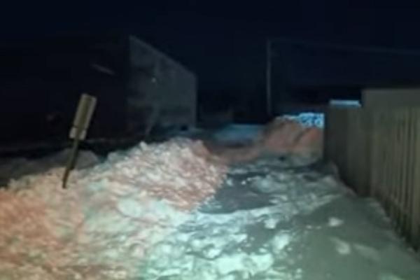 GOMILA SNEGA SE OBRUŠILA NA DEVOJČICE (12) KOJE SU SE IGRALE! Nažalost, pomoć je došla prekasno...