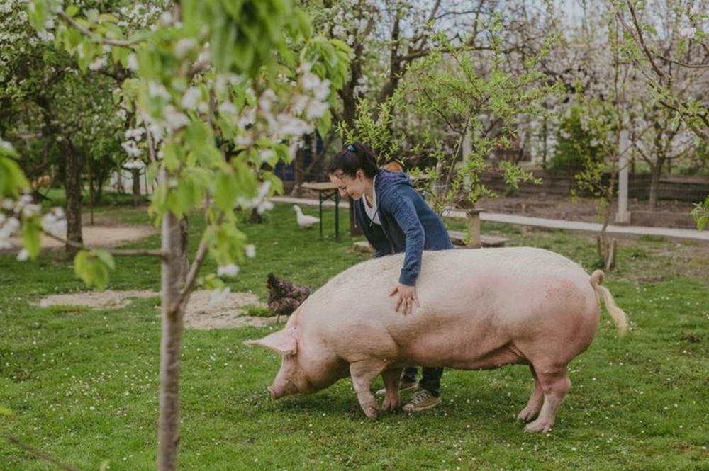 Ljilja sa svojom vlasnicom!