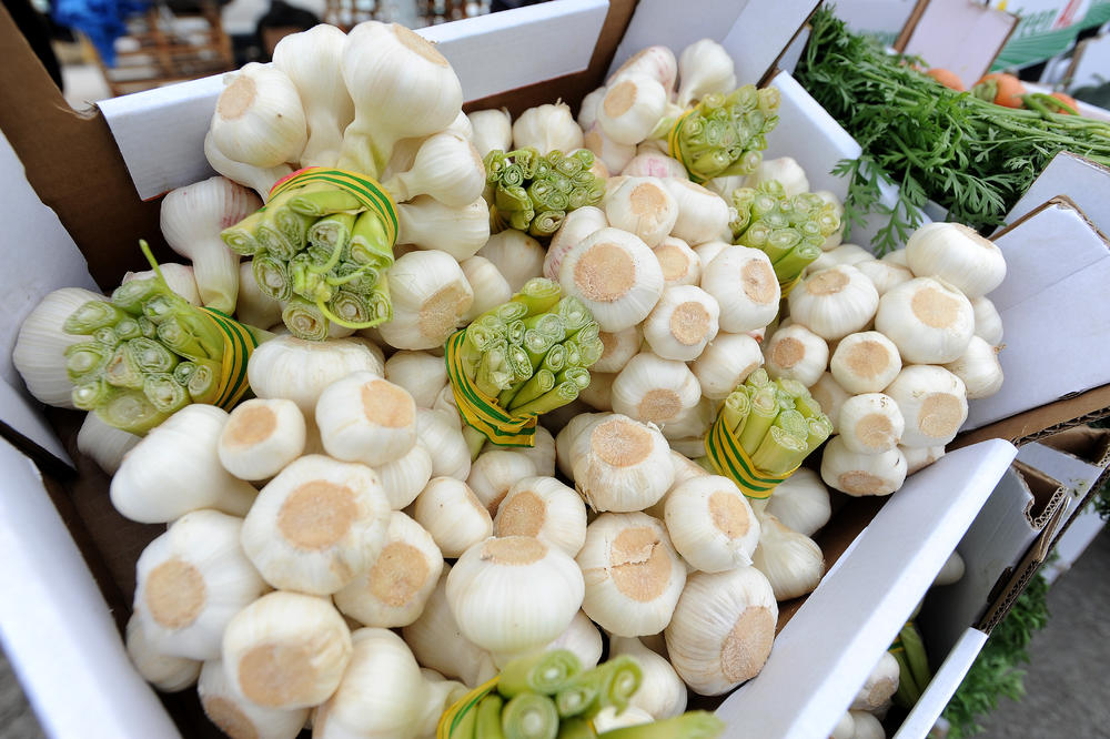 POSADITE OVU BILJKU UZ LUK I IMAĆETE ROD GODINE: Zanemećete kad vidite KOLIKI PLOD MOŽE BITI, skoro pa nerealno