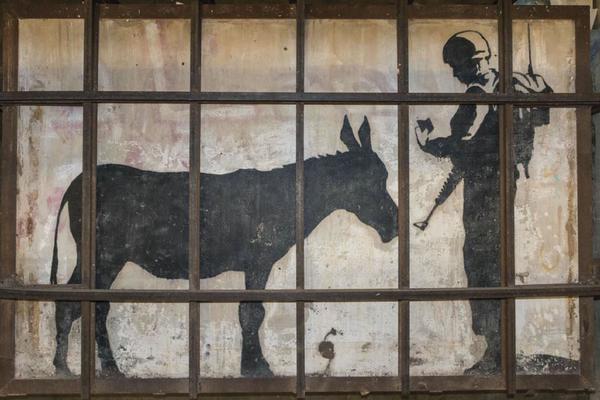 Šest filmova koje ne treba da propustite na Festivalu dokumentarnog filma ДОК #1