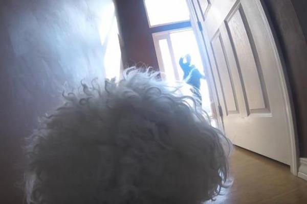 OSTAVIO JE PSA SAMOG KOD KUĆE I UKLJUČIO KAMERU: Kada je video SNIMAK, SLOMILO MU SE SRCE! (VIDEO)