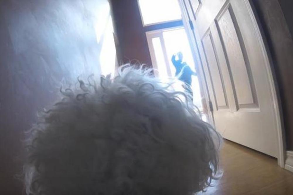 OSTAVIO JE PSA SAMOG KOD KUĆE I UKLJUČIO KAMERU: Kada je video SNIMAK, SLOMILO MU SE SRCE! (VIDEO)