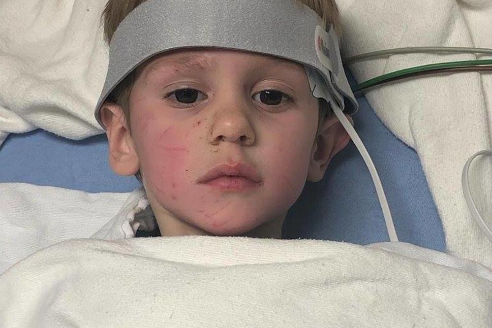 SEĆATE LI SE DEČAKA (3) KOJI JE NESTAO U LEDENOJ ŠUMI? Ispričao kako je uspeo da preživi, a detalji su još ČUDNIJI!