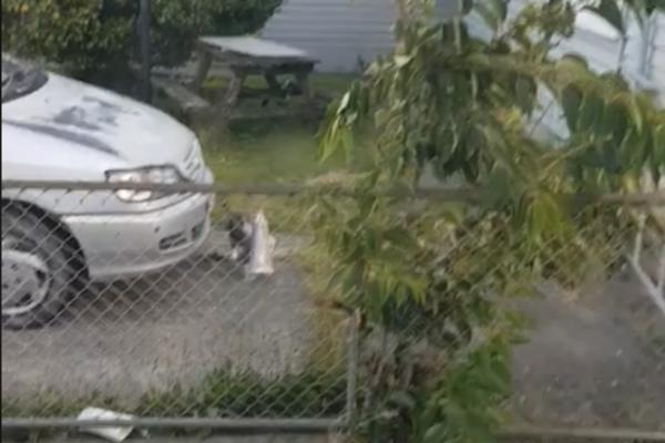 HOROR U PICERIJI: Pica majstor SEKIROM raskomadao MAČE!