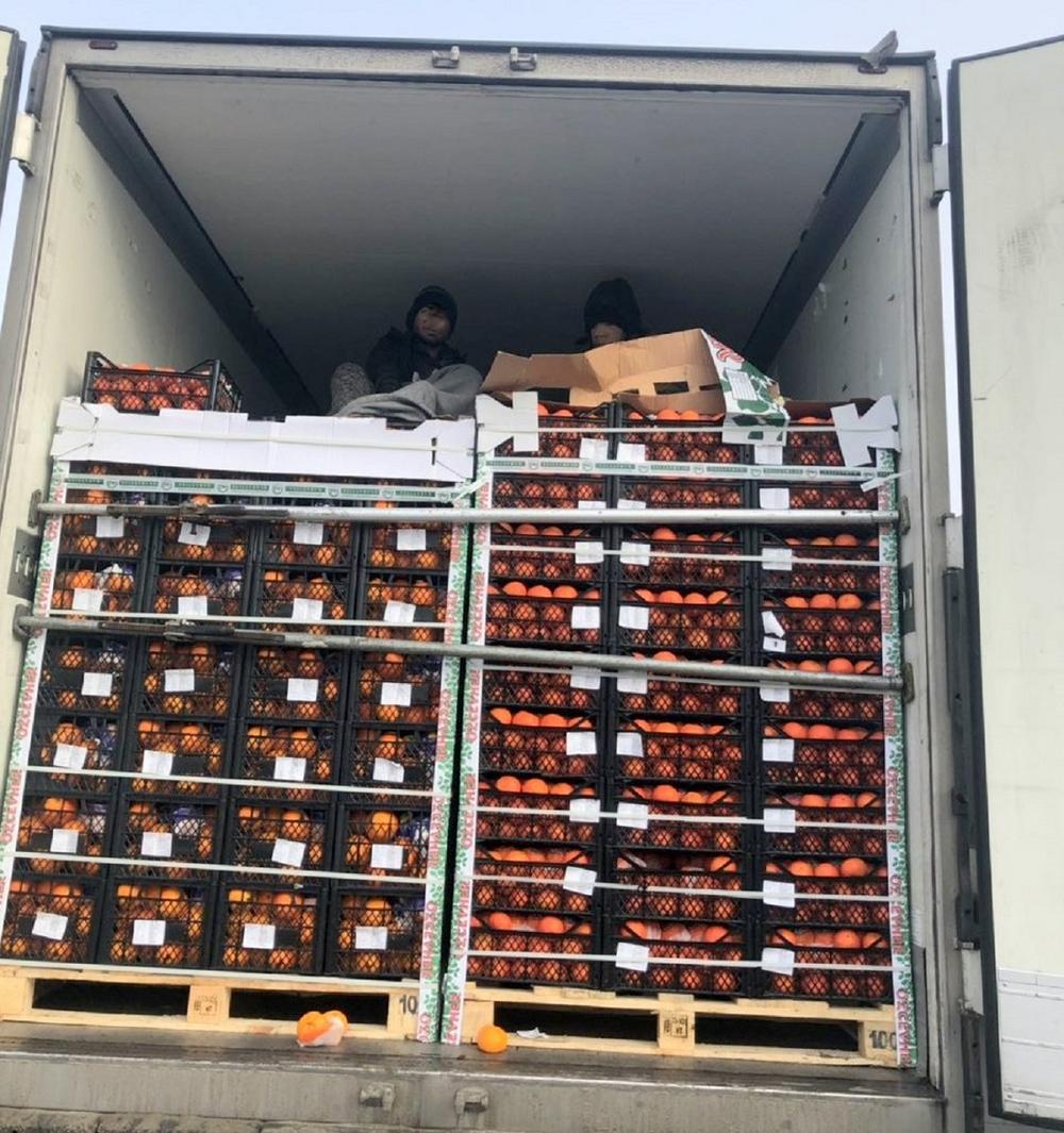 Migranti među pomorandžama  