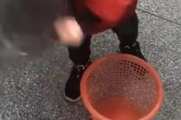 CEO ŽIVOT POGREŠNO MENJATE KESU ZA ĐUBRE: Ovaj dečak upravo je OSTAVIO LJUDE BEZ TEKSTA svojom genijalnom metodom!