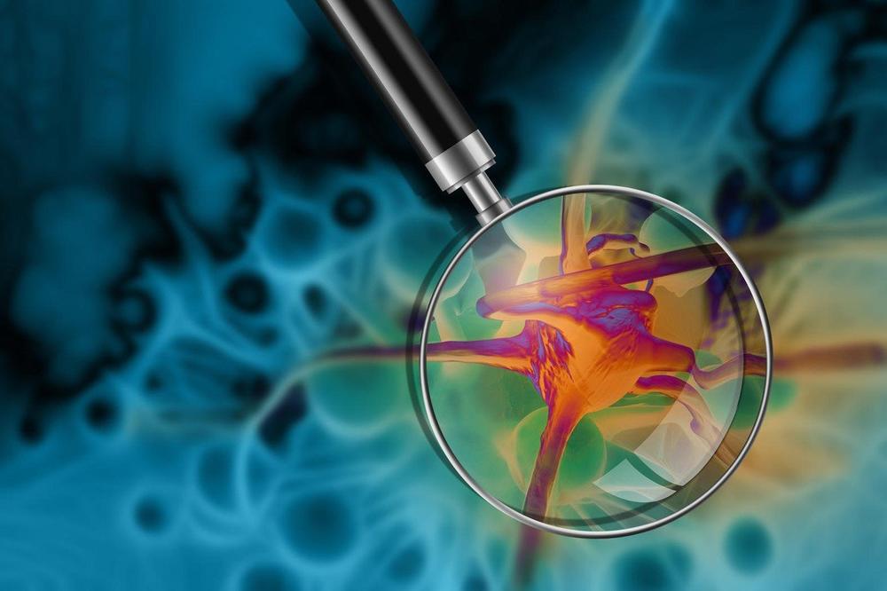 DR VUJOVIĆ: ''Fascinantna je ULOGA HORMONA u odbrani organizma od bolesti, pa i od kovida''