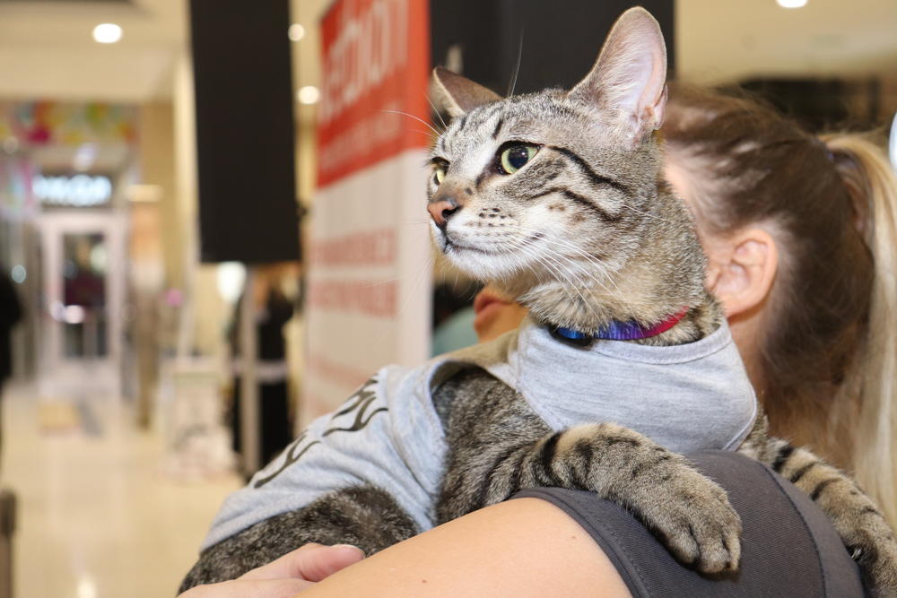 Miodrag je specijalno za ovu priliku obukao majicu