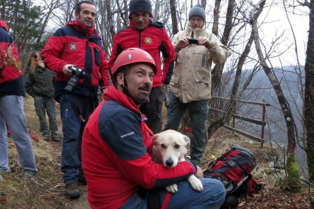NESTALU STARICU PRONAŠAO I SPASIO PAS! Zbog bolesti je samo odlutala u nepoznato...