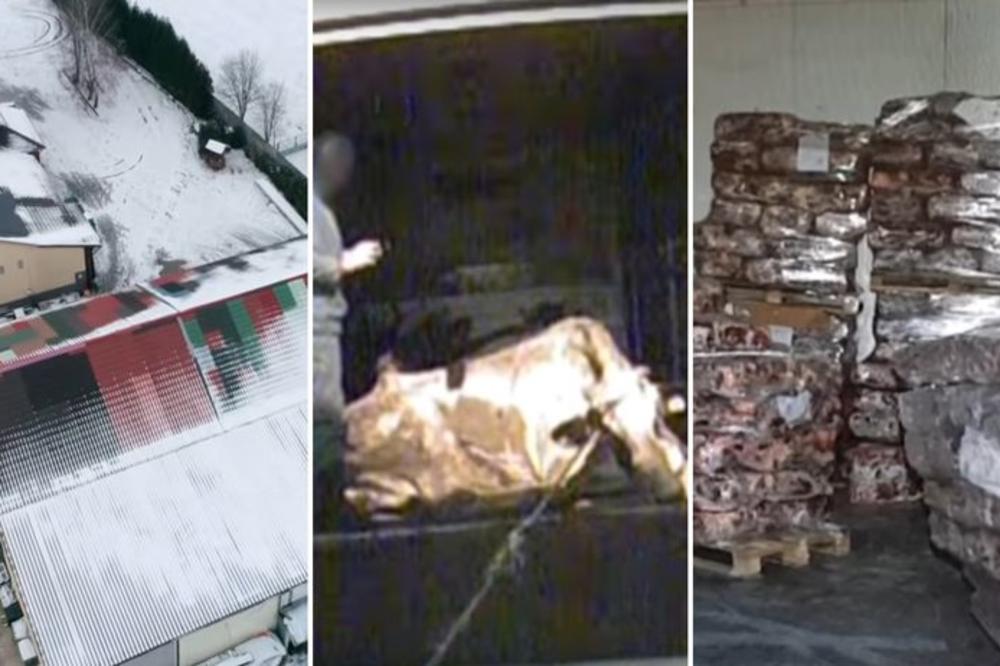 PRERUŠEN NOVINAR OTKRIO DA KLANICA IZVOZI MESO BOLESNIH KRAVA: Evo da li je otrovna govedina završila u Srbiji!