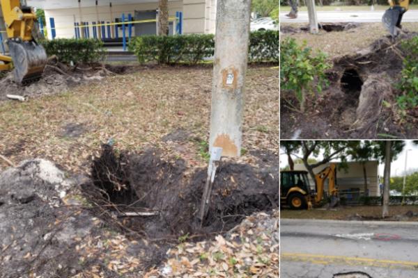 DOŠLI DA POPRAVE RUPU NA PUTU: Kad su videli O ČEMU JE ZAISTA REČ, samo što nisu PALI U NESVEST! (FOTO)