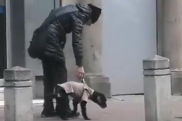 NAKLON DO PODA: Scena iz Makedonske ulice prepričava se po Beogradu, KAD SI ČOVEK I STAROST NIJE TEŠKA (VIDEO)