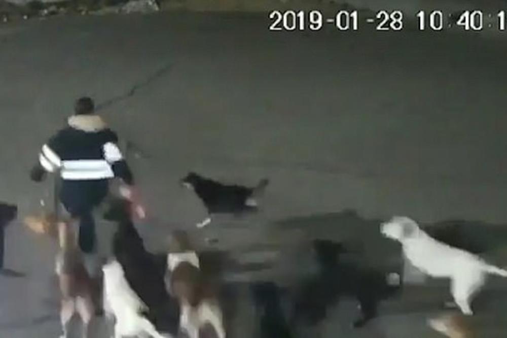 PSI IZUJEDALI RADNIKE NA STOVARIŠTU! Imaju OZBILJNE POVREDE, prevezeni su u KBC ZVEZDARA