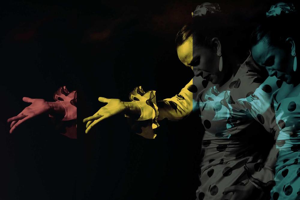 FLAMENKO NA FOTOGRAFIJI: Izložba u galeriji Instituta Servantes