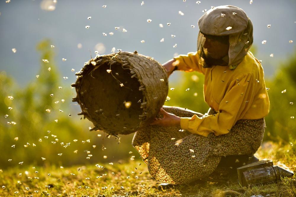 Makedonski HONEYLAND najbolji dokumentarni film na SANDENS FESTIVALU