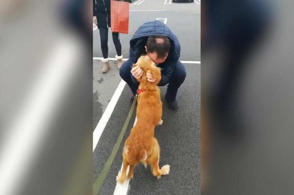 TRI GODINE SU OVI BEOGRAĐANI TRAŽILI SVOG IZGUBLJENOG PSA: Klip od koga zastaje knedla u grlu (VIDEO)